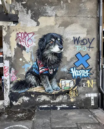 Randy-Flux-Pro-Normal