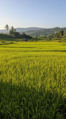 @magicalstonetwilight3079 Samples