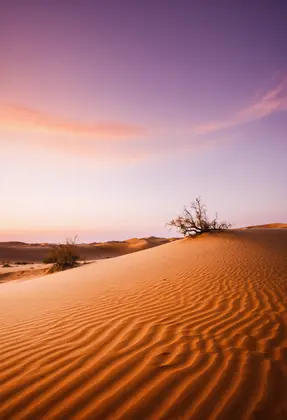 @creamyvanill Samples